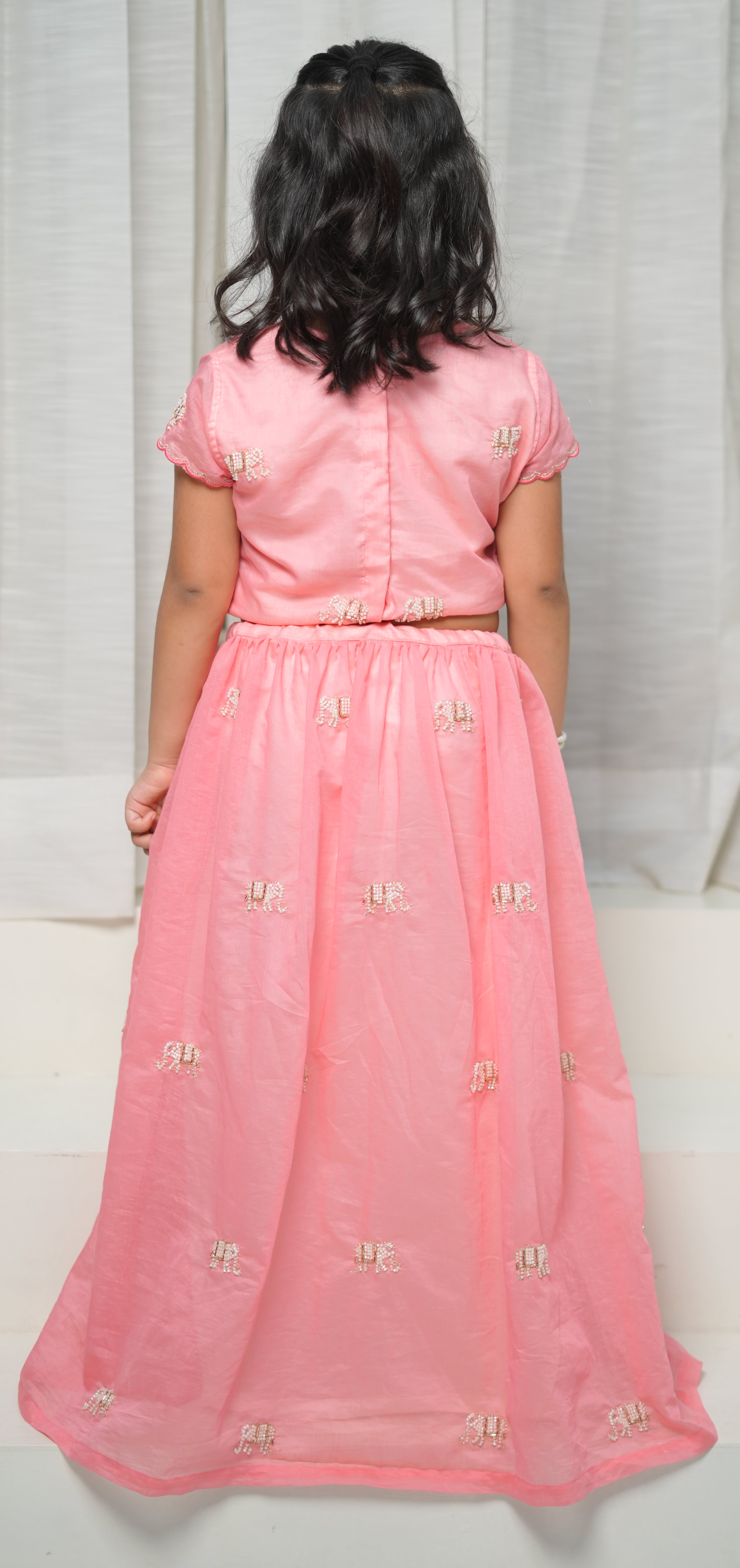 The Coral Elephants  Lehenga Set
