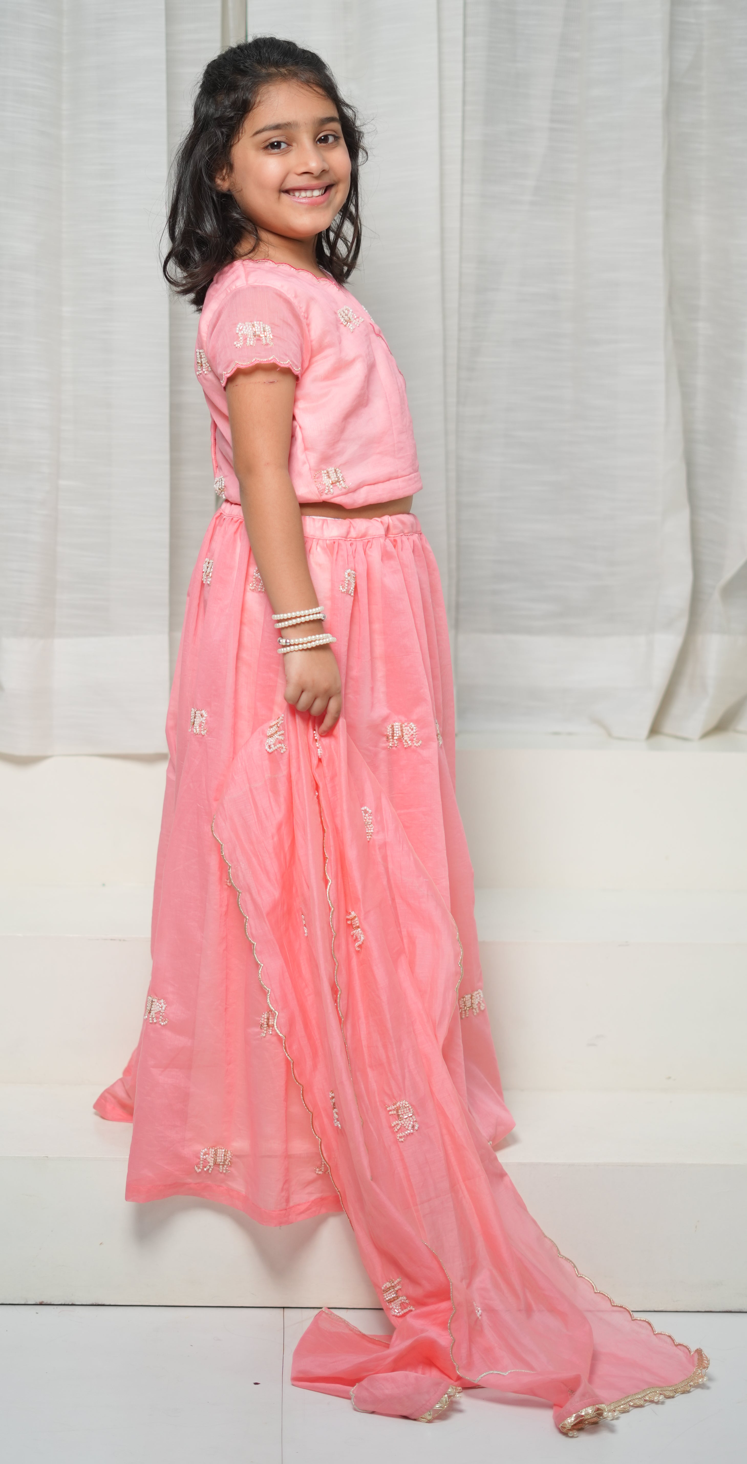 The Coral Elephants  Lehenga Set