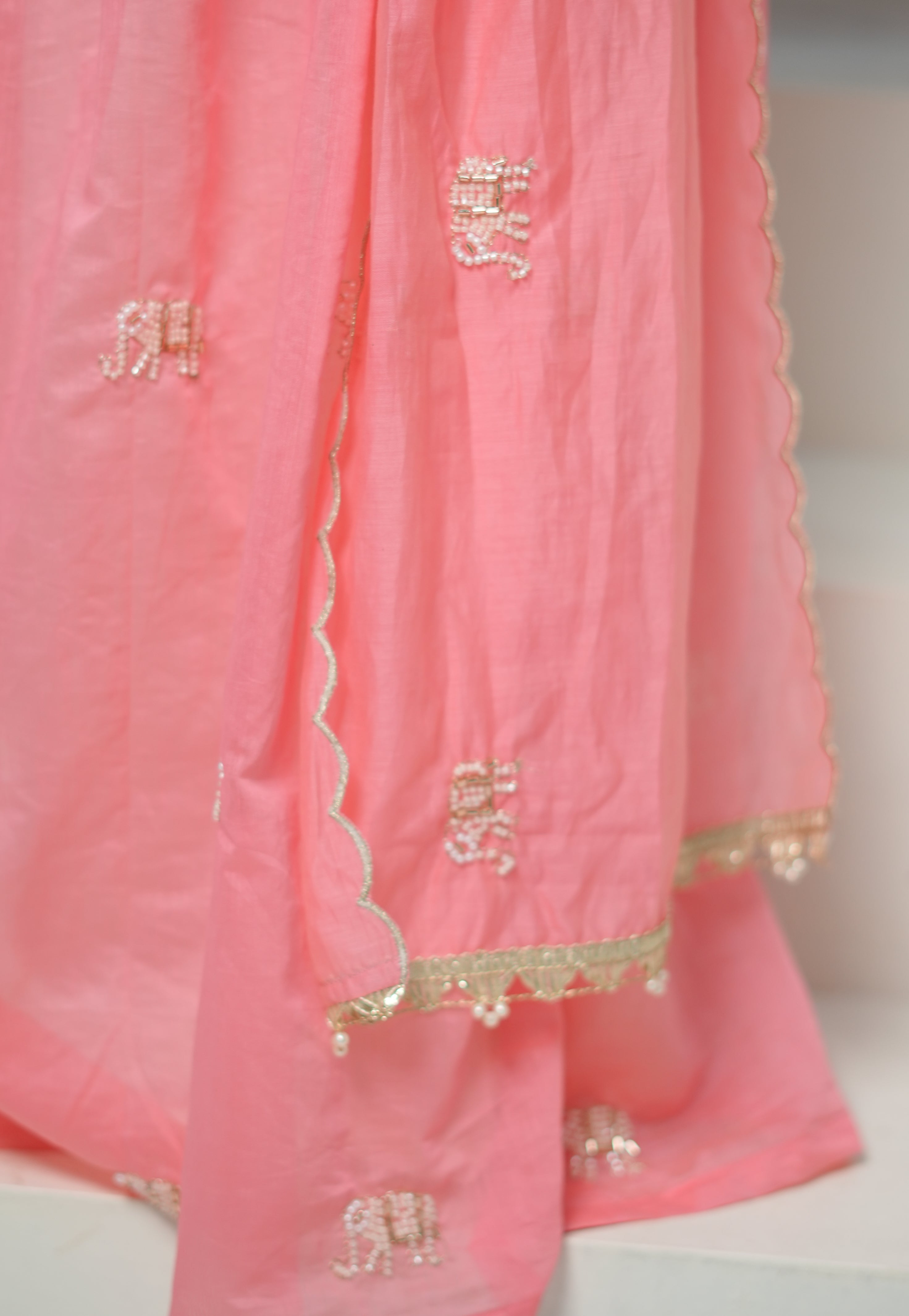 The Coral Elephants  Lehenga Set